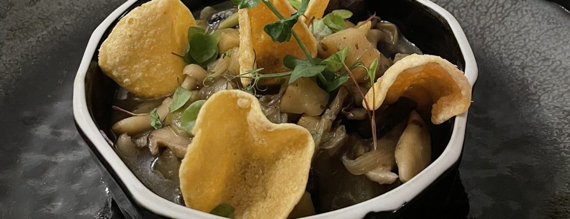 katz-in-ruurlo-ook-vegan